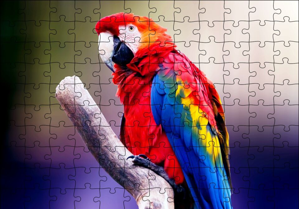 Kırmızı Tüylü Papağan Puzzle Yapboz MDF Ahşap 120 Parça 24 cm X 34 cm