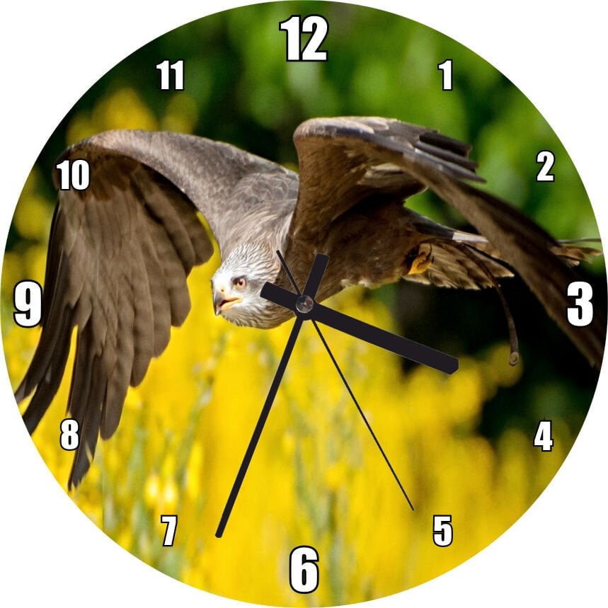Doğada Alçakta Uçan Şahin Görseli Mdf Ahşap Duvar Saati