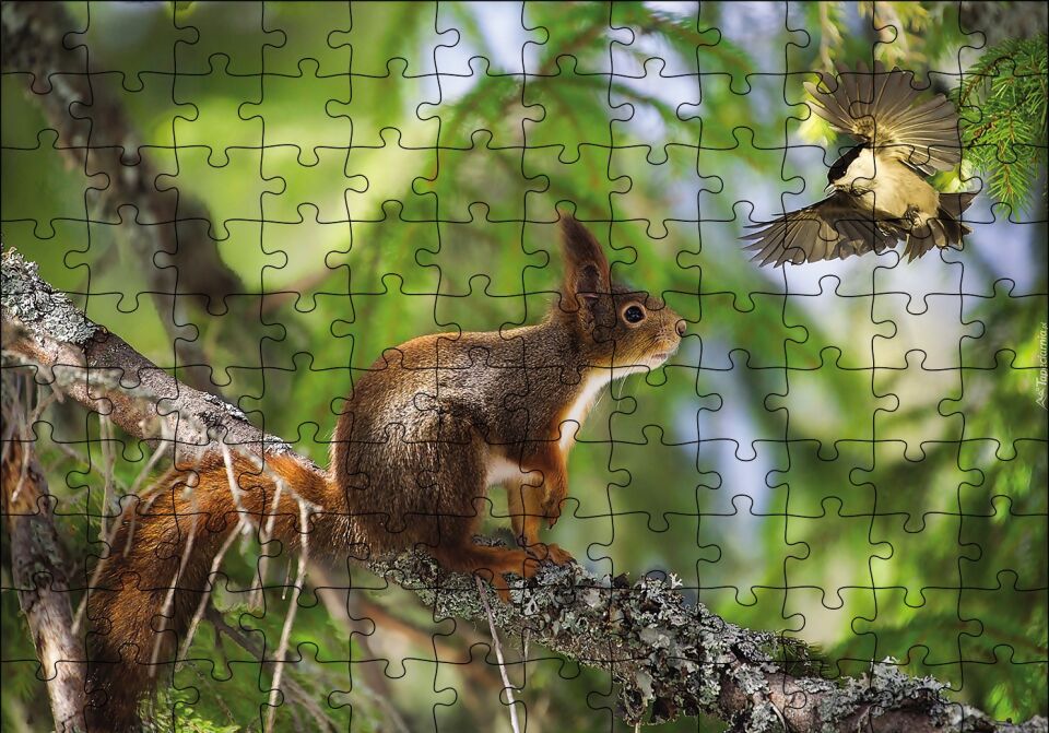 Sincap Kuş Muhabbeti Puzzle Yapboz MDF Ahşap