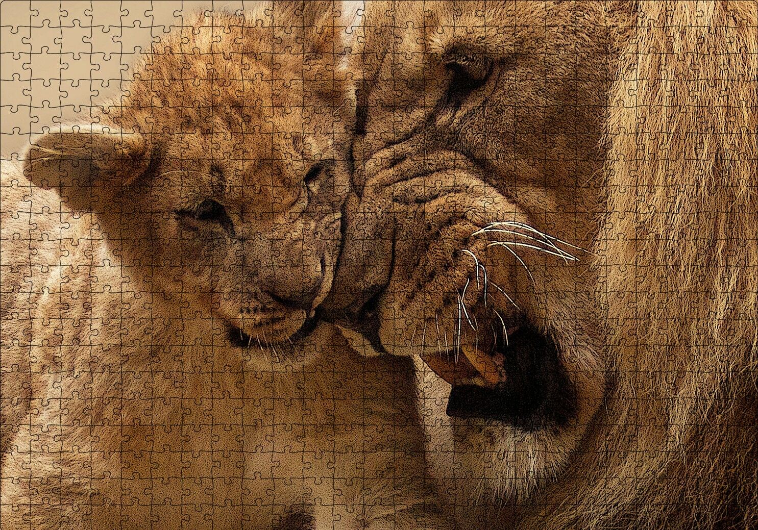 Erkek Aslan ve Evladı Puzzle Yapboz MDF Ahşap 500 Parça 49 cm X 68 cm