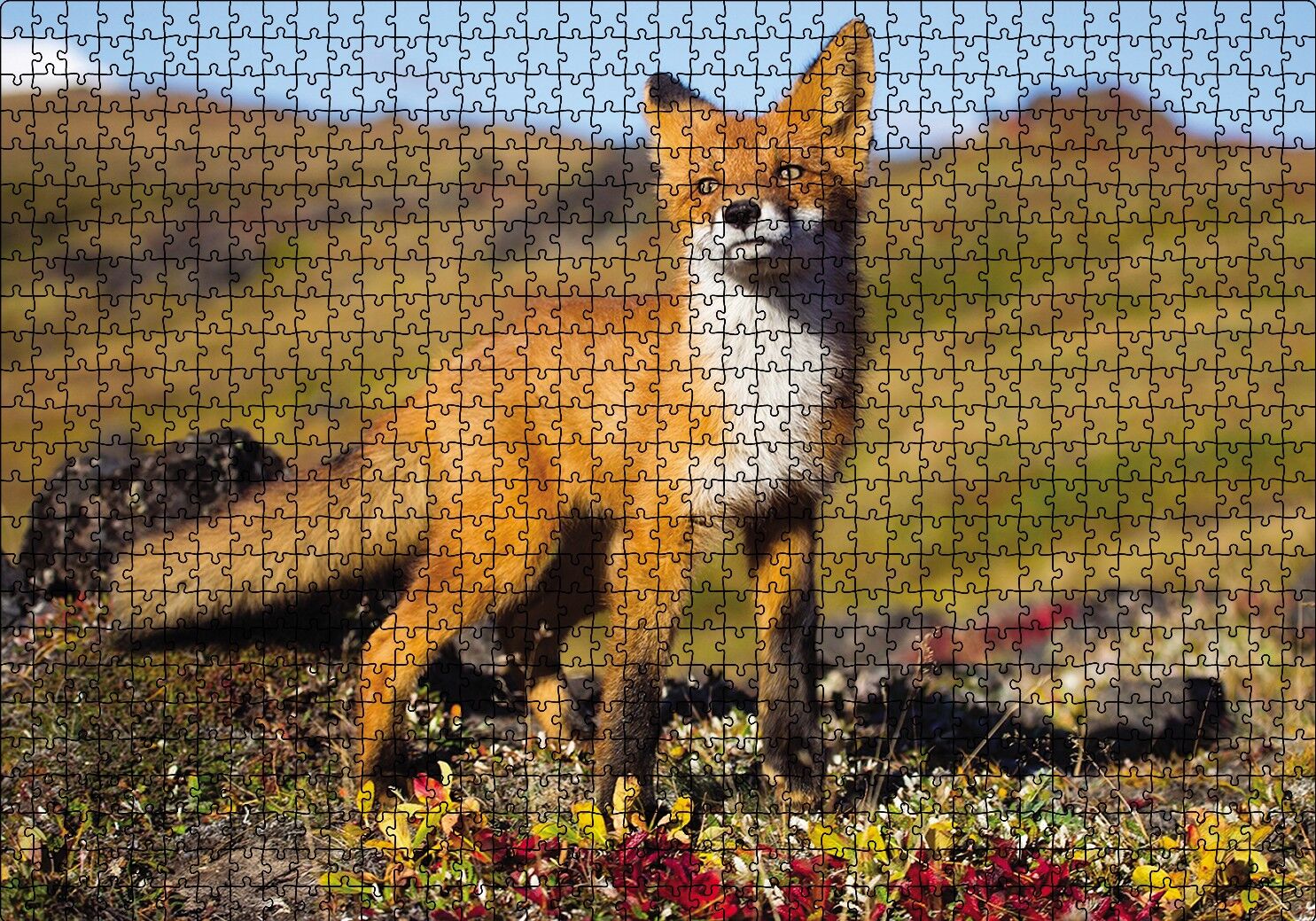 Kızıl Tilki Puzzle Yapboz MDF Ahşap 1000 Parça 49 cm X 68 cm