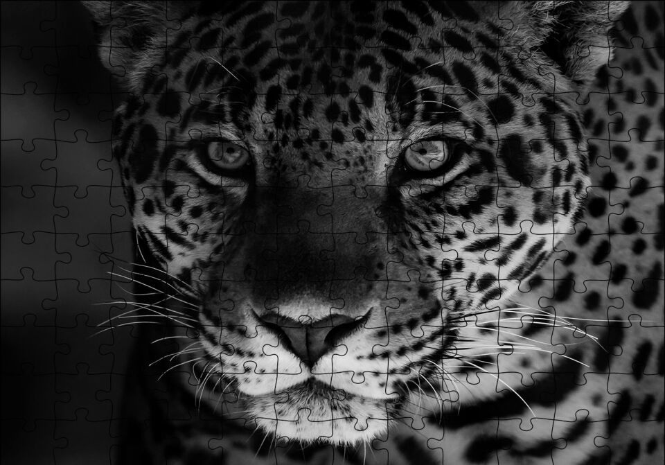 Siyah Beyaz Jaguar Puzzle Yapboz MDF Ahşap