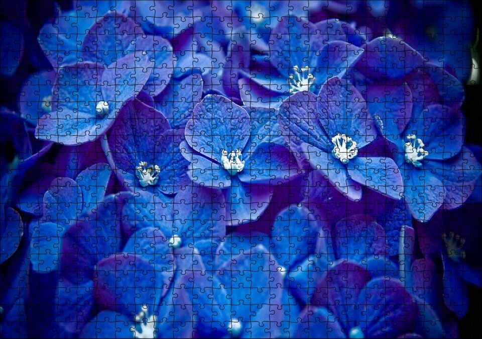 Mavi Taç Yapraklı Çiçekler ve Beyaz Tohumları Puzzle Yapboz MDF Ahşap 500 Parça 49 cm X 68 cm