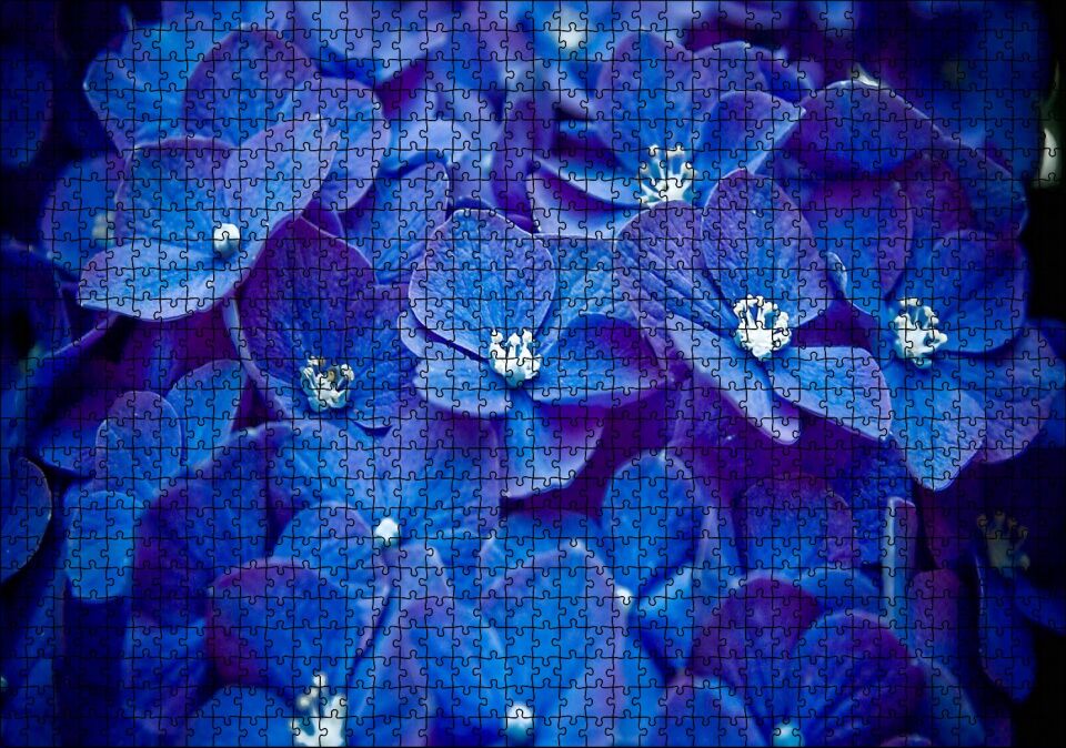 Mavi Taç Yapraklı Çiçekler ve Beyaz Tohumları Puzzle Yapboz MDF Ahşap 1000 Parça 49 cm X 68 cm