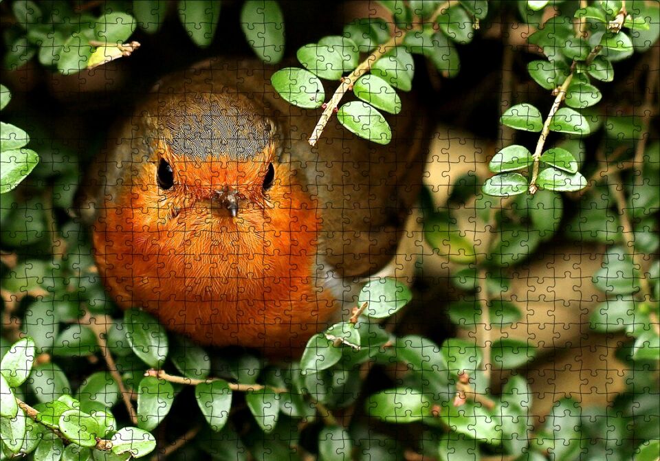 Yeşil Yapraklar Arasındaki Kızıl Kuş Puzzle Yapboz MDF Ahşap 500 Parça 49 cm X 68 cm