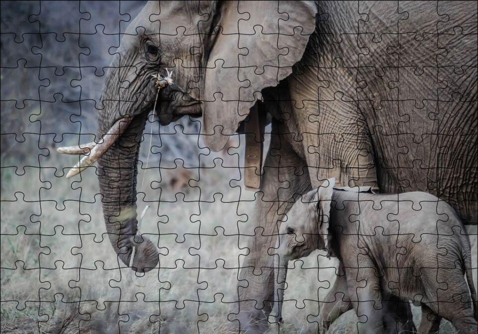 Yetişkin Fil ve Yavrusu Puzzle Yapboz MDF Ahşap 120 Parça 24 cm X 34 cm
