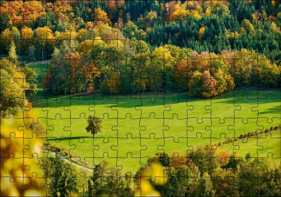 Ormanın Ortasındaki Yemyeşil Arazi ve Yalnız Ağaç Puzzle Yapboz MDF Ahşap