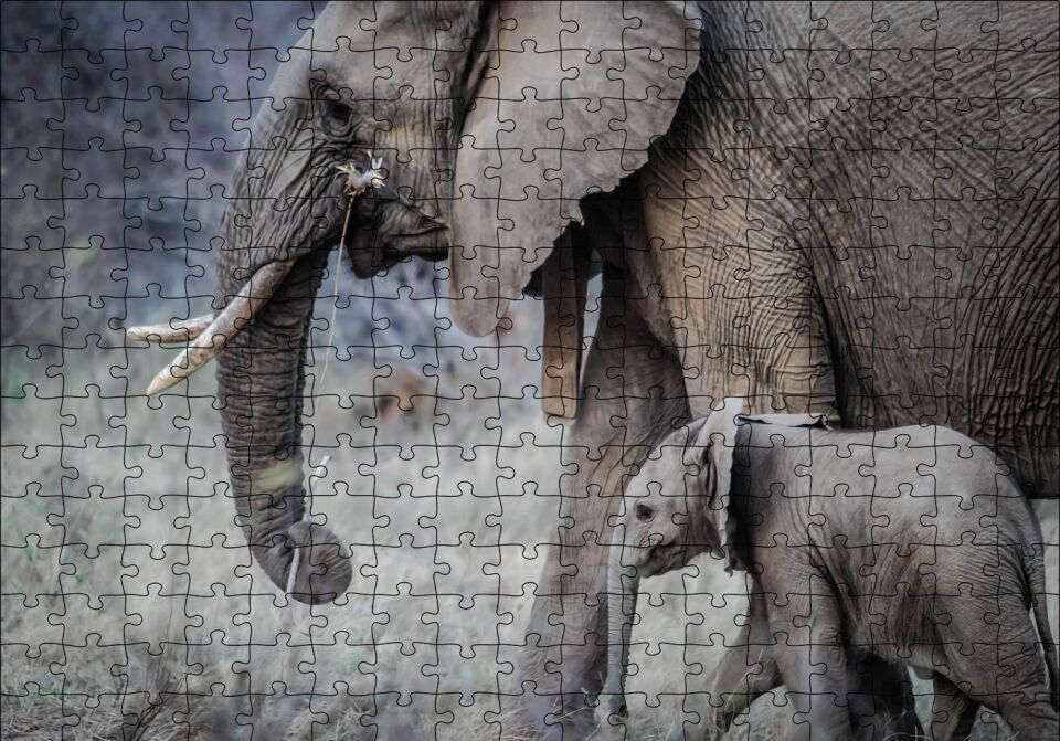 Yetişkin Fil ve Yavrusu Puzzle Yapboz MDF Ahşap 255 Parça 34 cm X 49 cm