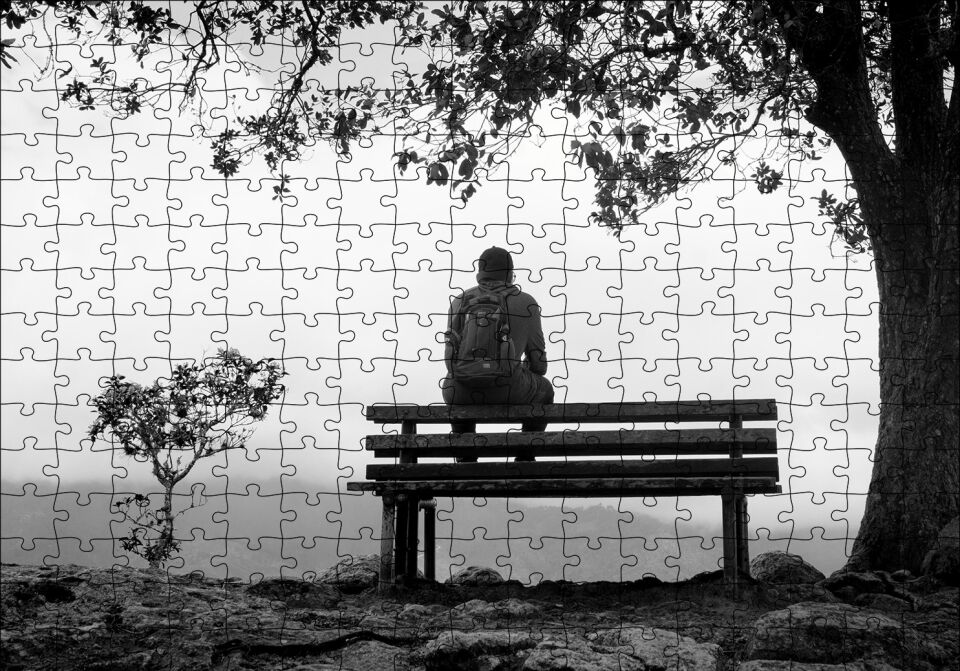 Ağaç Altındaki Bankta Gezgin Puzzle Yapboz MDF Ahşap 255 Parça 34 cm X 49 cm