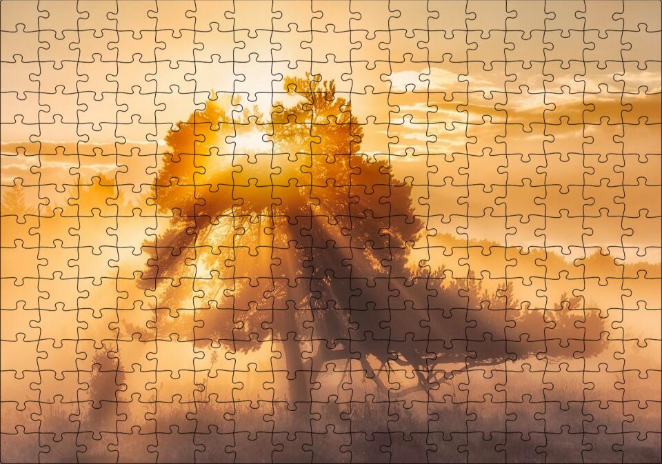 Ormanın Dışındaki Tek Ağaç ve Mistik Güneş Işınları Puzzle Yapboz MDF Ahşap 255 Parça 34 cm X 49 cm