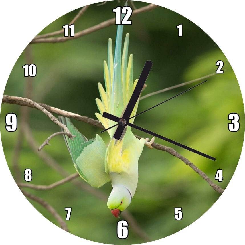 Darth Vader Kaskı Işın Kılıcı ve Meyveler Mdf Ahşap Duvar Saati