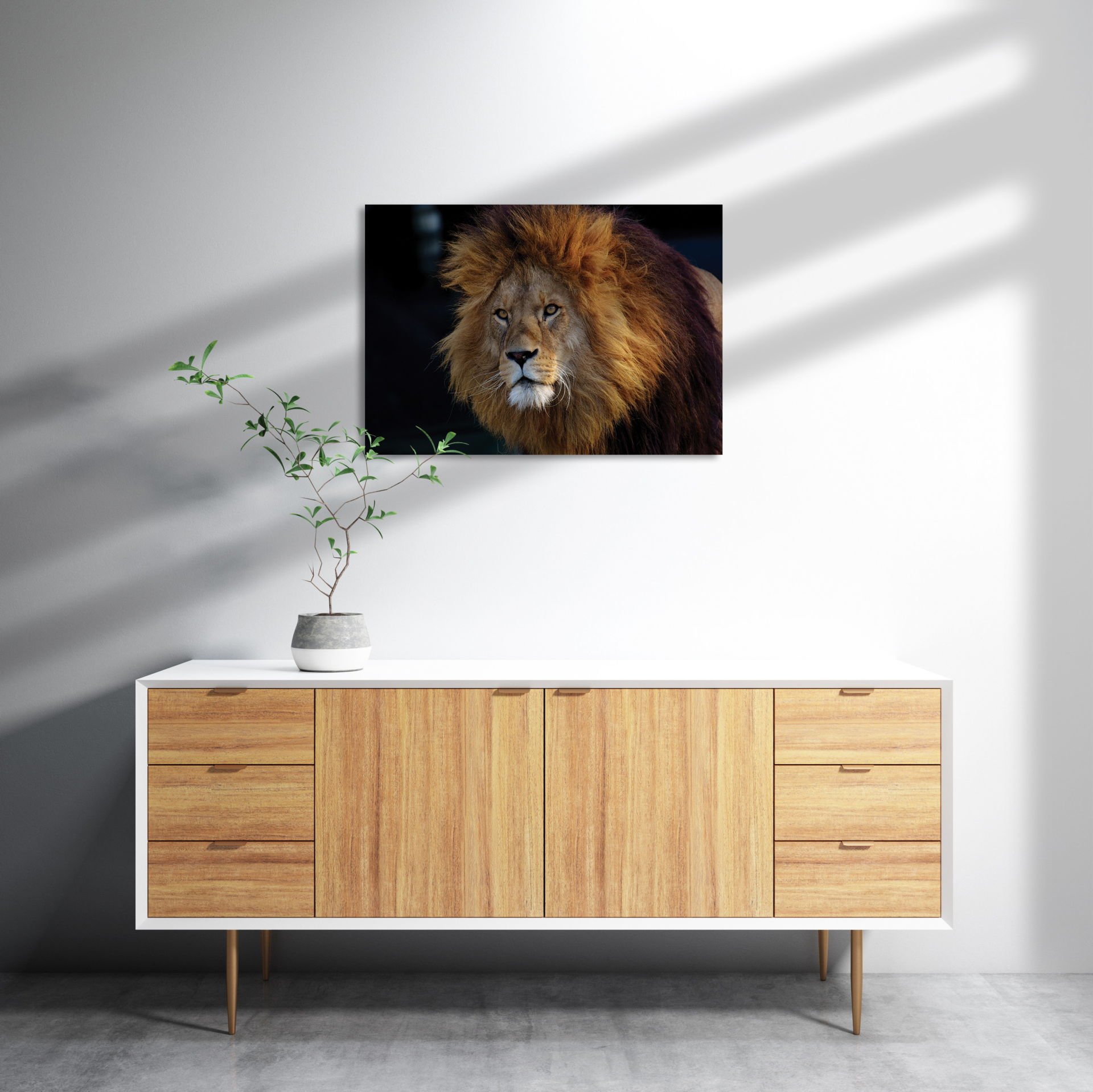 Aslan Kral MDF Akşap Duvar Tablo 25x35 cm