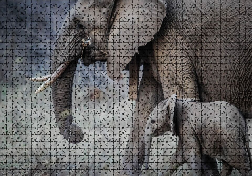 Yetişkin Fil ve Yavrusu Puzzle Yapboz MDF Ahşap 1000 Parça 49 cm X 68 cm