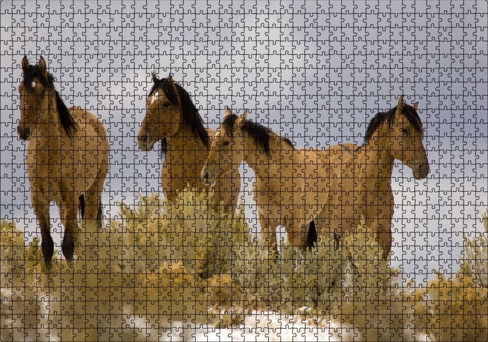 Kahve Rengi Atlar Puzzle Yapboz MDF Ahşap 1000 Parça 49 cm X 68 cm