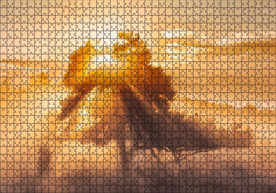 Ormanın Dışındaki Tek Ağaç ve Mistik Güneş Işınları Puzzle Yapboz MDF Ahşap 1000 Parça 49 cm X 68 cm