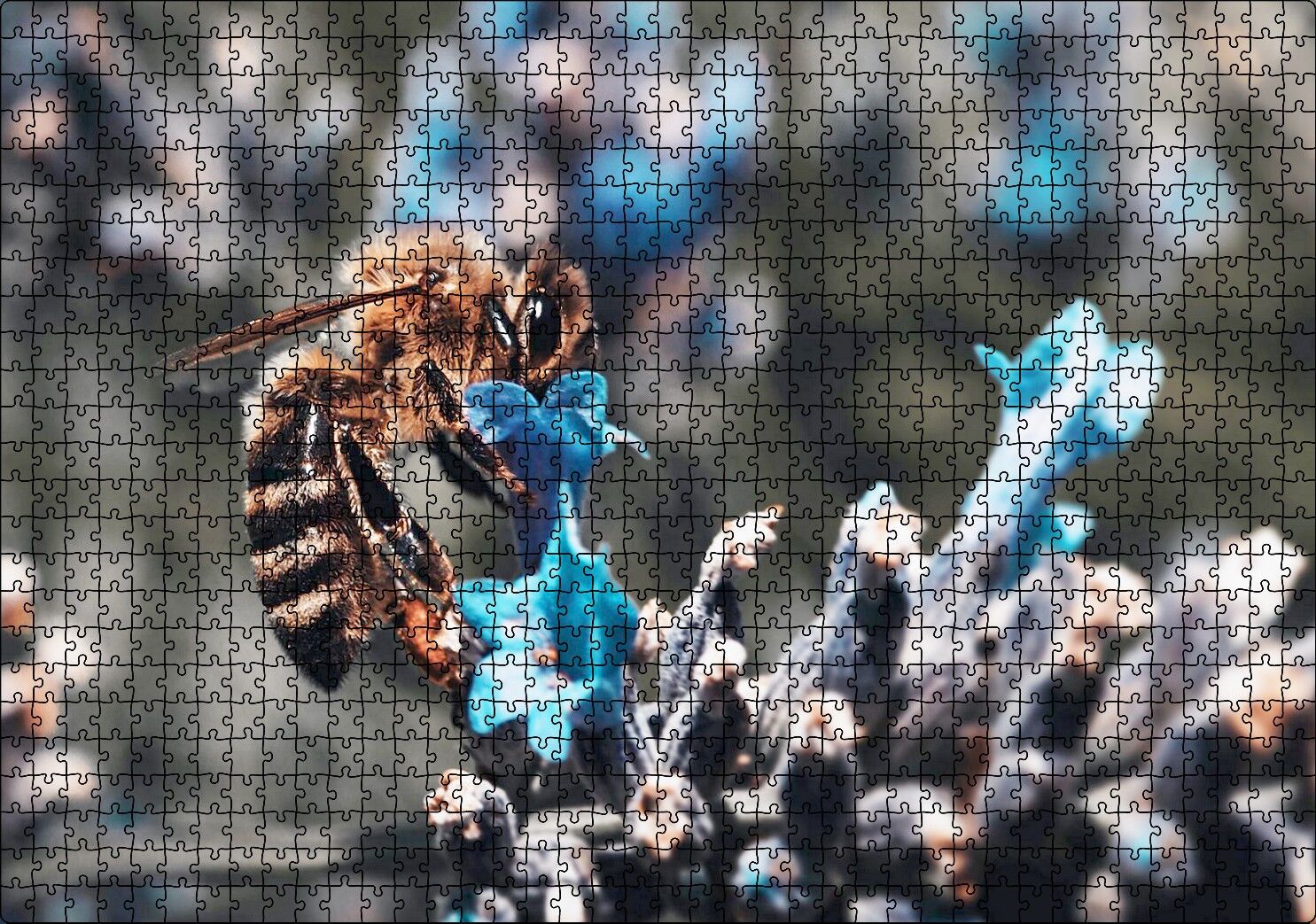 Mor Siyah Çiçekten Polen Toplayan Arı Puzzle Yapboz MDF Ahşap 1000 Parça 49 cm X 68 cm