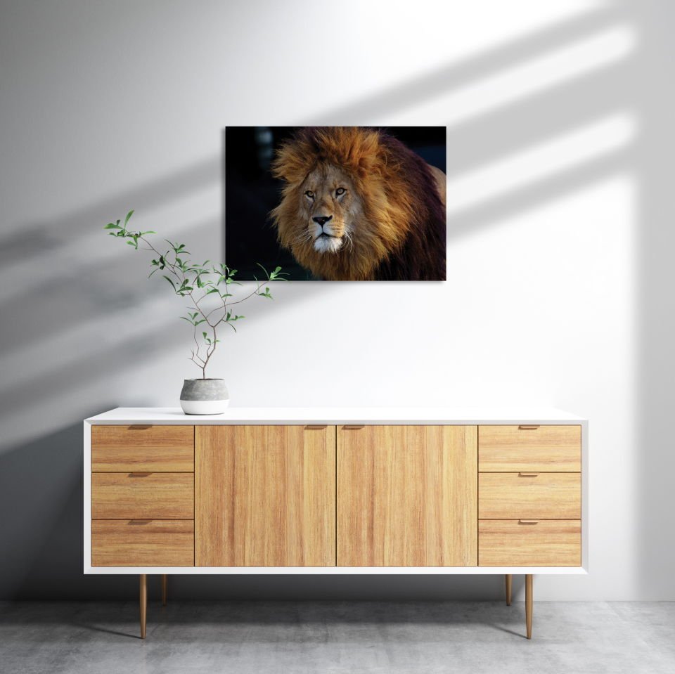 Aslan Kral MDF Akşap Duvar Tablo 35x50 cm