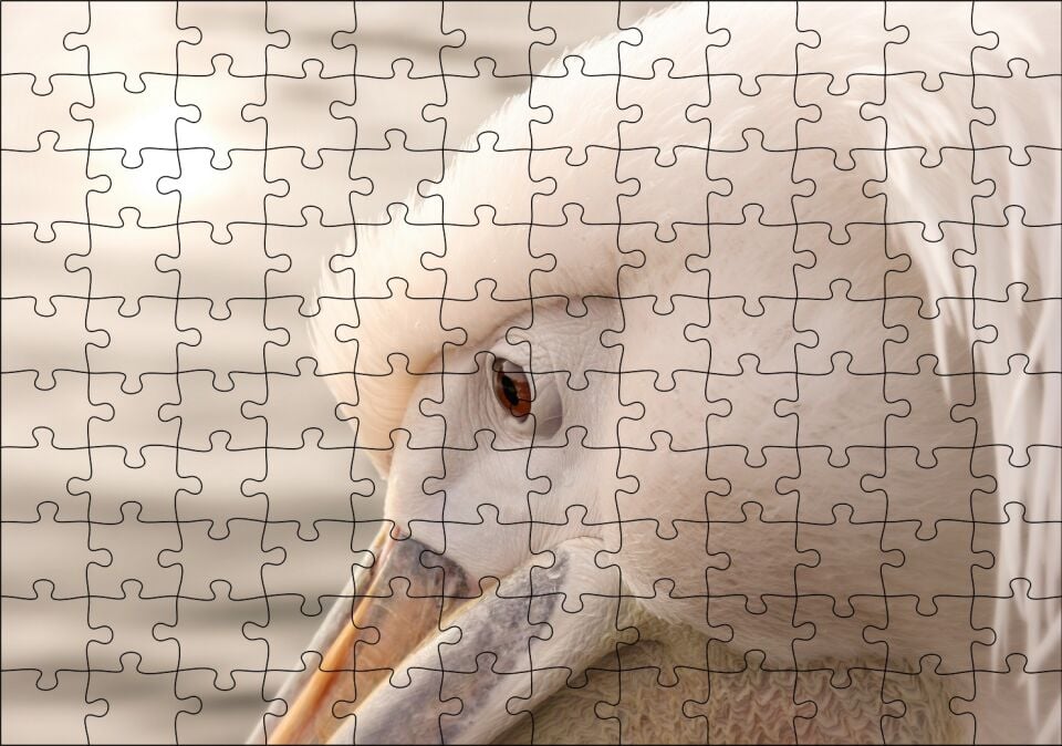 Pelikan Yakın Çekim Flu Arkaplan Puzzle Yapboz MDF Ahşap