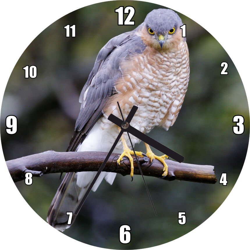 Dalda Etrafı Kolaçan Eden Doğan Mdf Ahşap Duvar Saati