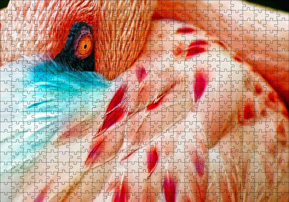 Flamingo Yakın Çekim Puzzle Yapboz MDF Ahşap 500 Parça 49 cm X 68 cm