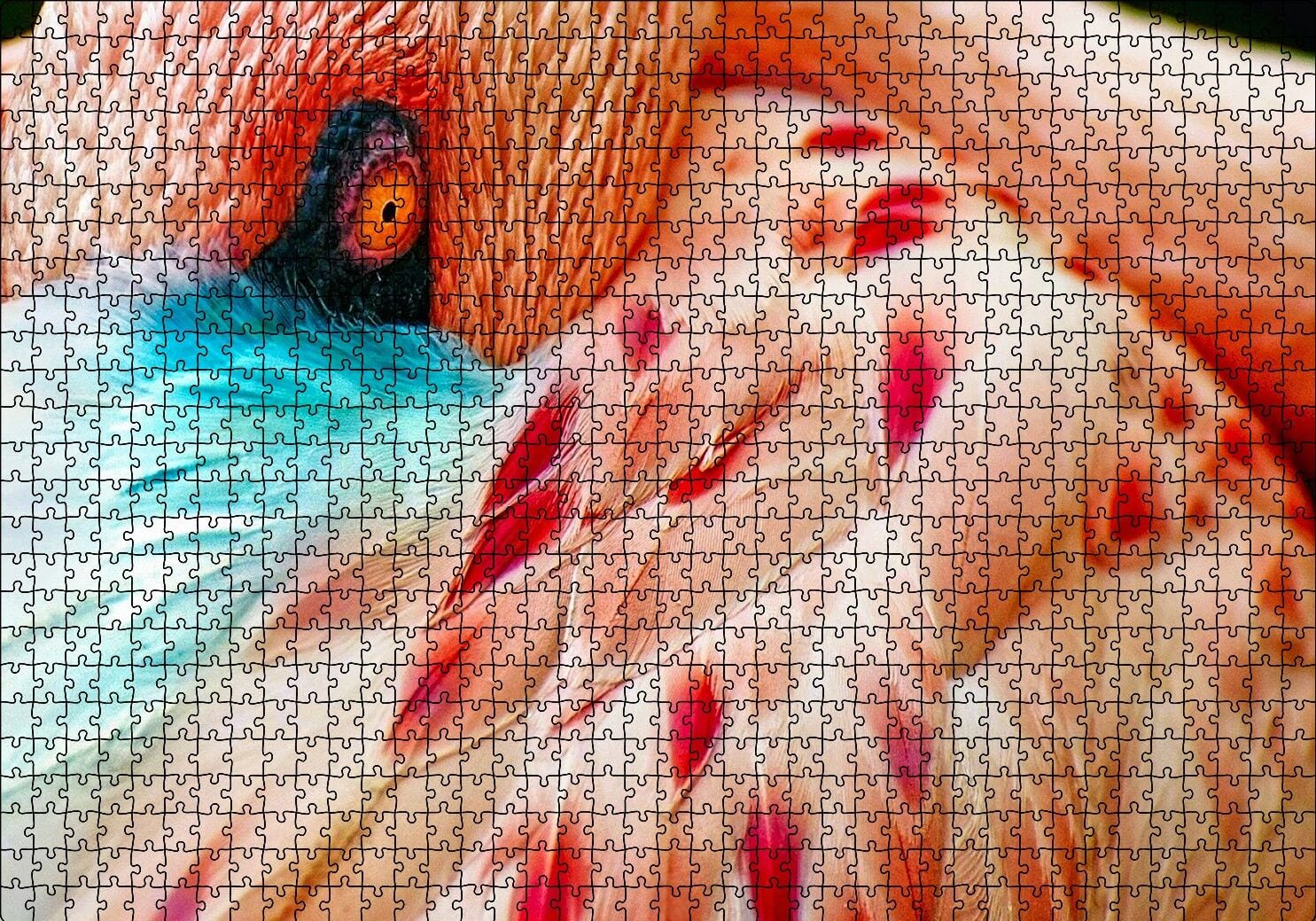 Flamingo Yakın Çekim Puzzle Yapboz MDF Ahşap 1000 Parça 49 cm X 68 cm
