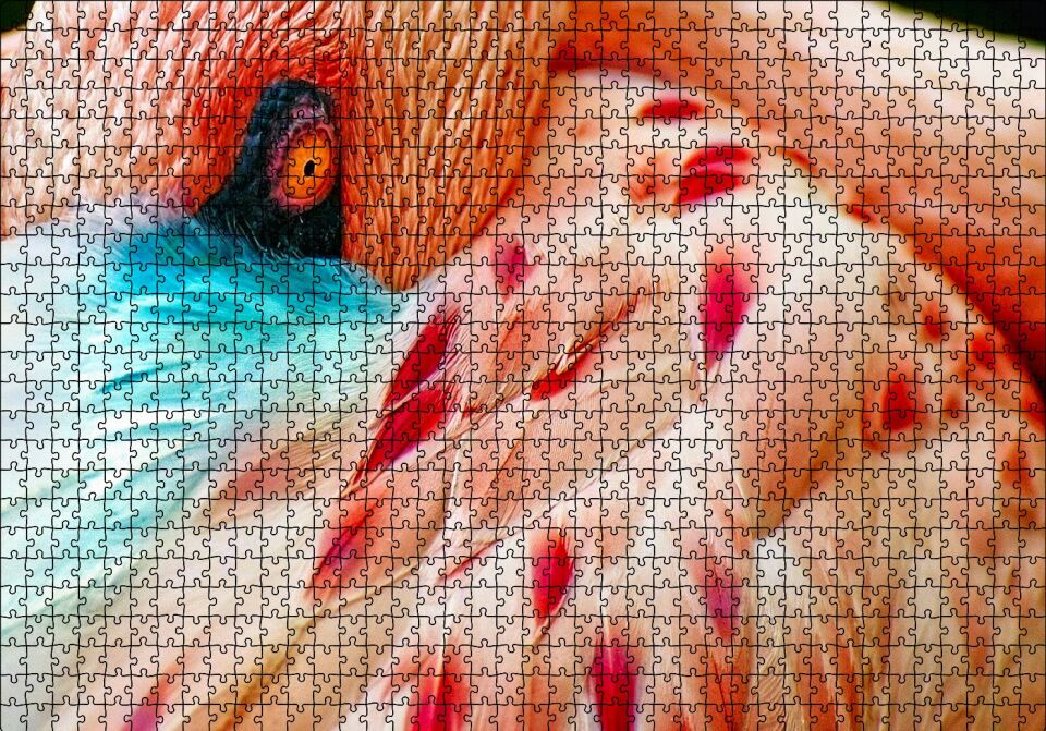 Flamingo Yakın Çekim Puzzle Yapboz MDF Ahşap 1000 Parça 49 cm X 68 cm