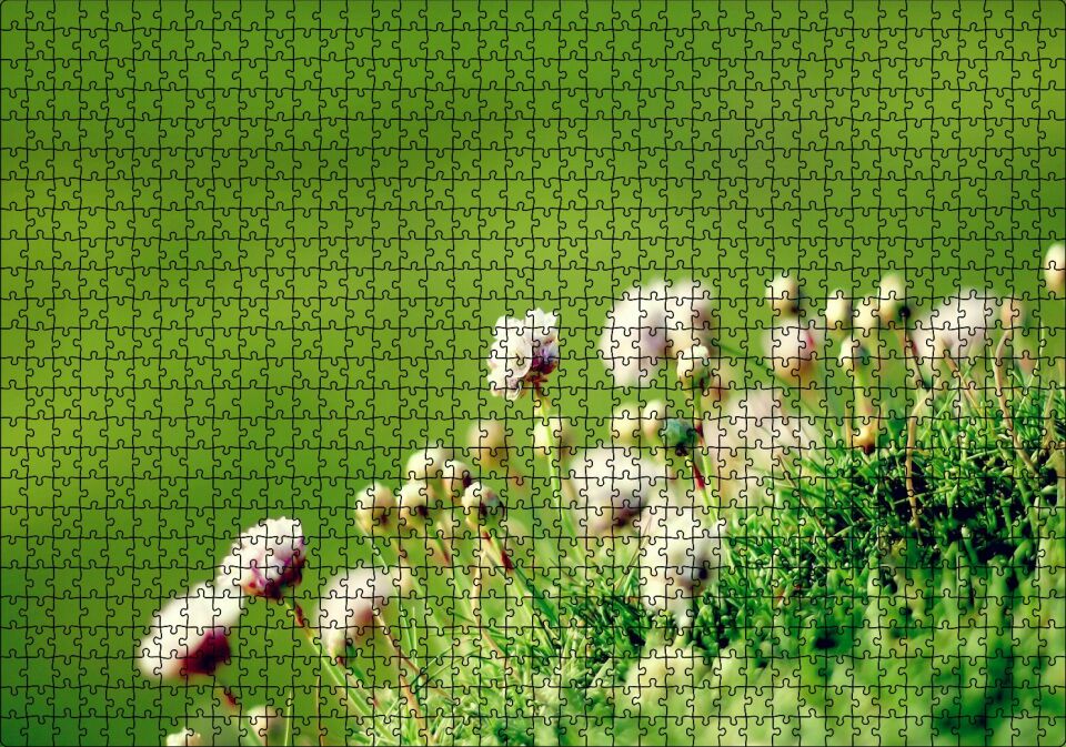 Otların Arasında Yeni Açan Çiçekler Puzzle Yapboz MDF Ahşap 1000 Parça 49 cm X 68 cm