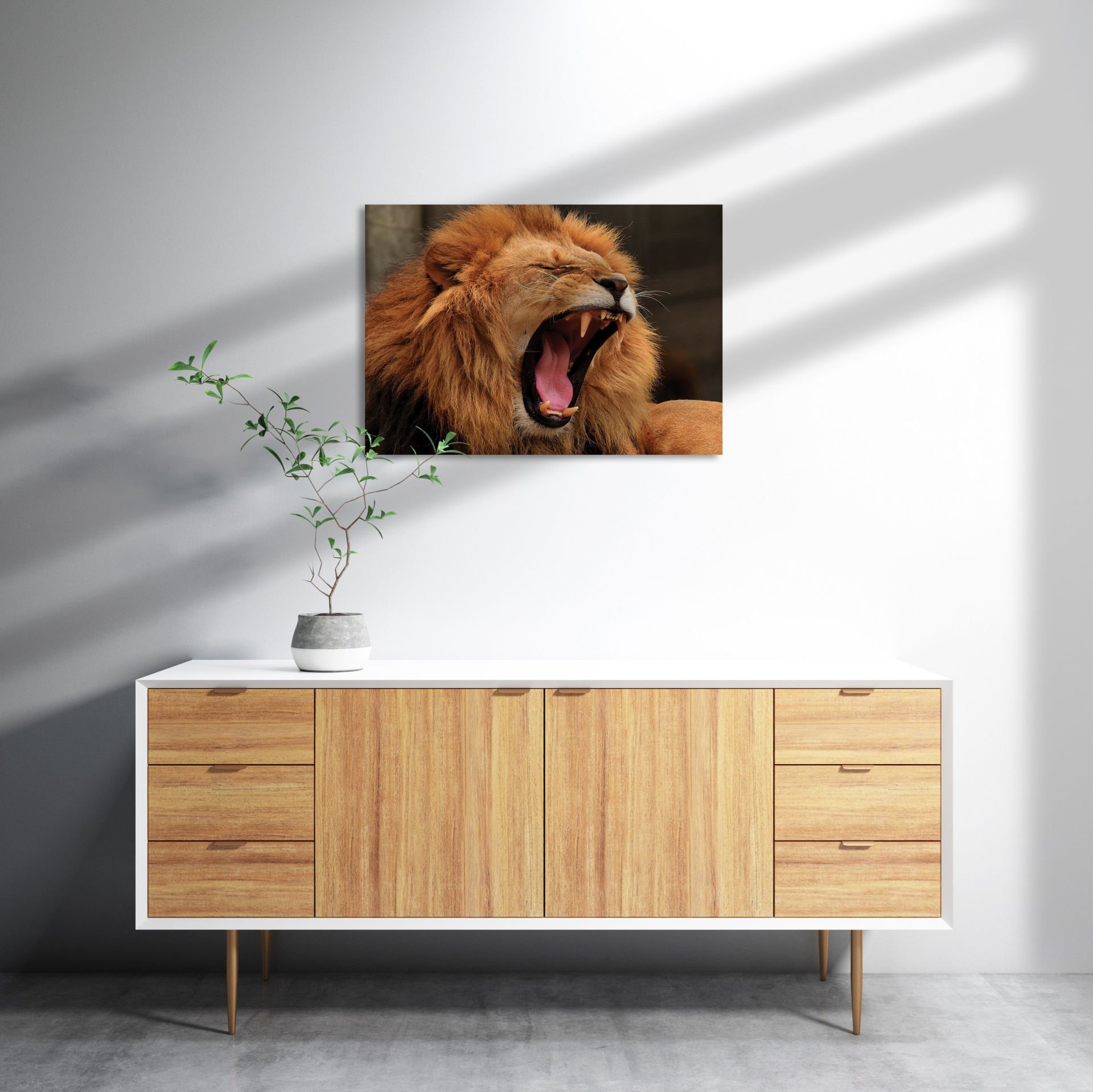 Aslan Esneyen MDF Akşap Duvar Tablo 50x70 cm