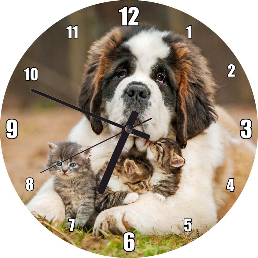 Çayırda Sen Bernard ve Kucağında Yavru Kediler Mdf Ahşap Duvar Saati