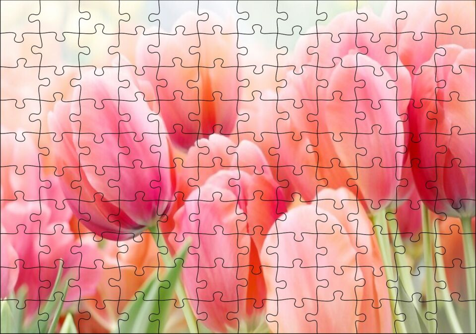 Pembe Laleler Görseli Puzzle Yapboz MDF Ahşap