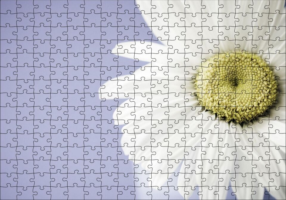 Papatya Yakın Çekim Gökyüzü Arka Plan Puzzle Yapboz MDF Ahşap 255 Parça 34 cm X 49 cm