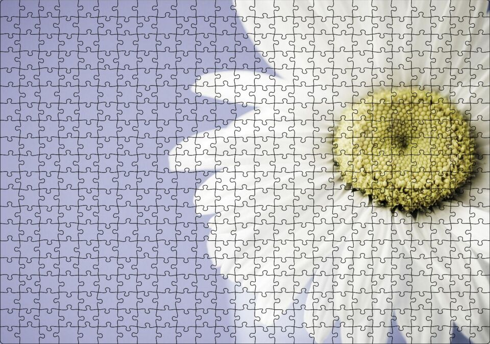 Papatya Yakın Çekim Gökyüzü Arka Plan Puzzle Yapboz MDF Ahşap 500 Parça 49 cm X 68 cm