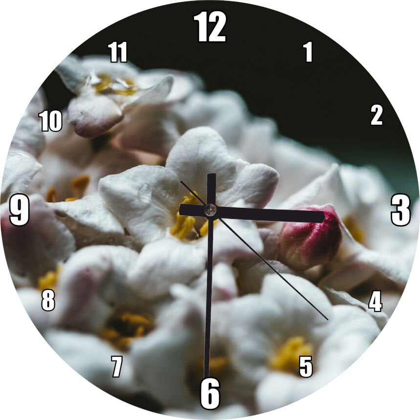 Beyaz Çiçeklerin Arasındaki Asi Pembe Mdf Ahşap Duvar Saati