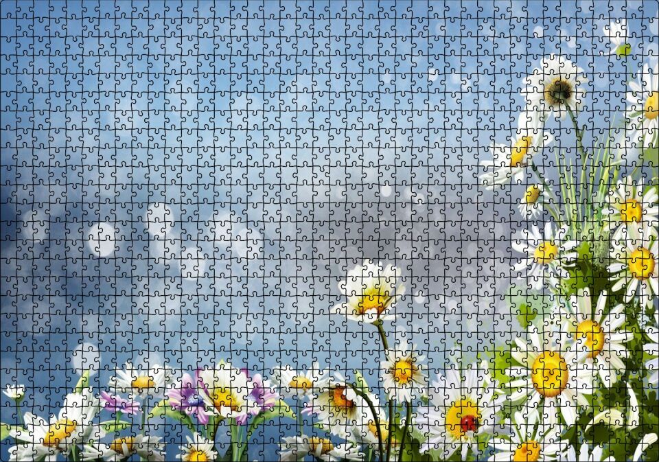 Papatyalar Flu Arka Plan Puzzle Yapboz MDF Ahşap 1000 Parça 49 cm X 68 cm