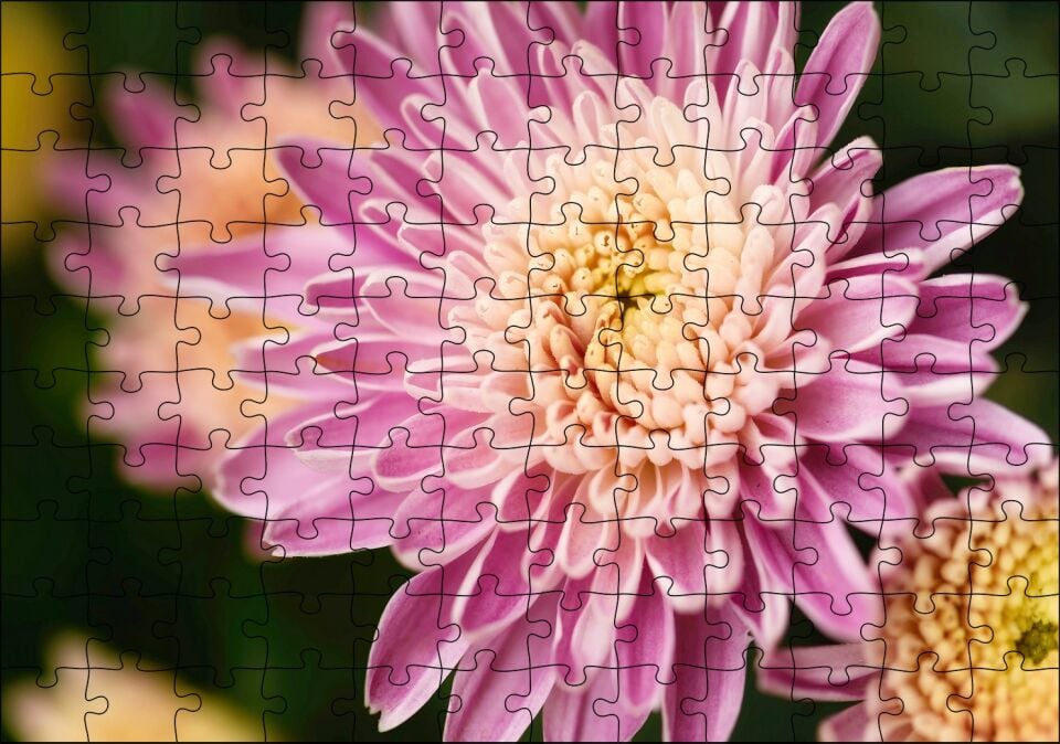 Sarı ve Pembe Çiçek Yakın Çekim Flu Arka Plan Puzzle Yapboz MDF Ahşap