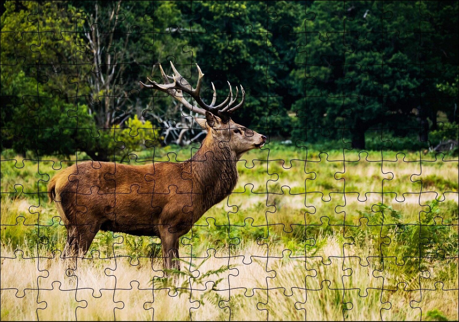 Sarı Yeşil Otlar Arasında Ren Geyiği ve Orman Puzzle Yapboz MDF Ahşap