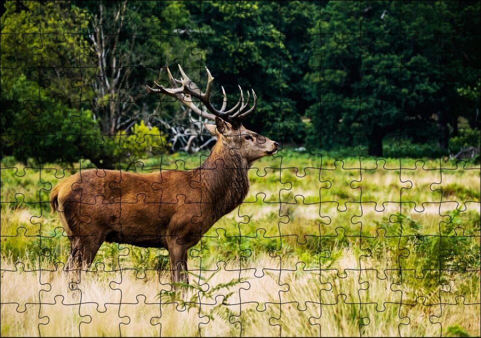 Sarı Yeşil Otlar Arasında Ren Geyiği ve Orman Puzzle Yapboz MDF Ahşap