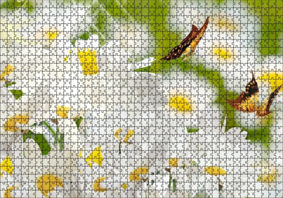 Papatyalar ve İki Küçük Kelebek Puzzle Yapboz MDF Ahşap 1000 Parça 49 cm X 68 cm