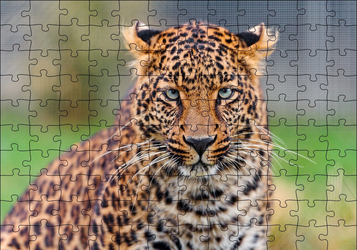 Genç Leopar Puzzle Yapboz MDF Ahşap 120 Parça 24 cm X 34 cm