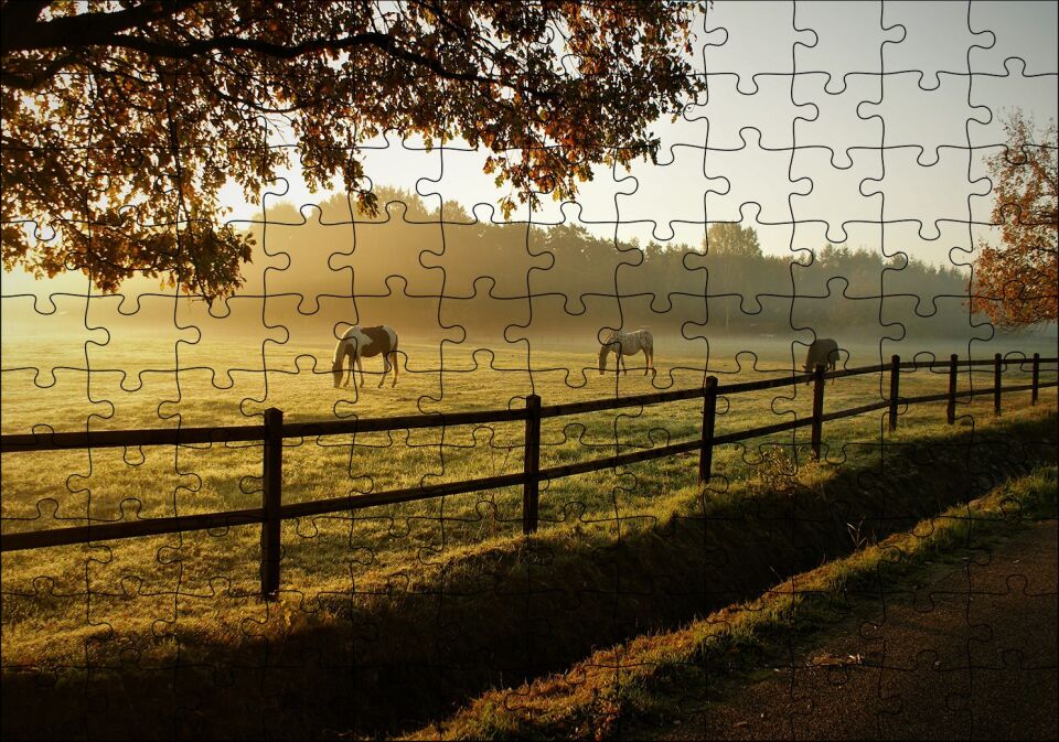 Gündoğumunda Sisler ve Otlayan Atlar Puzzle Yapboz MDF Ahşap