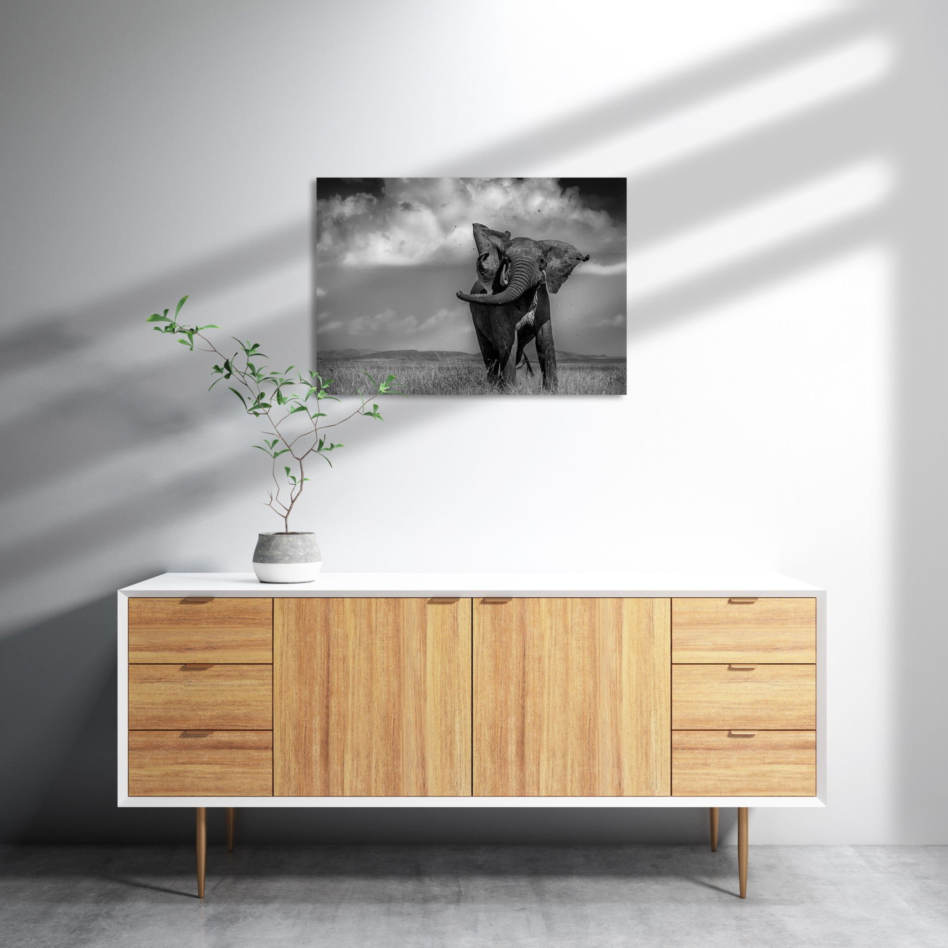 Asya Fili MDF Akşap Duvar Tablo 35x50 cm