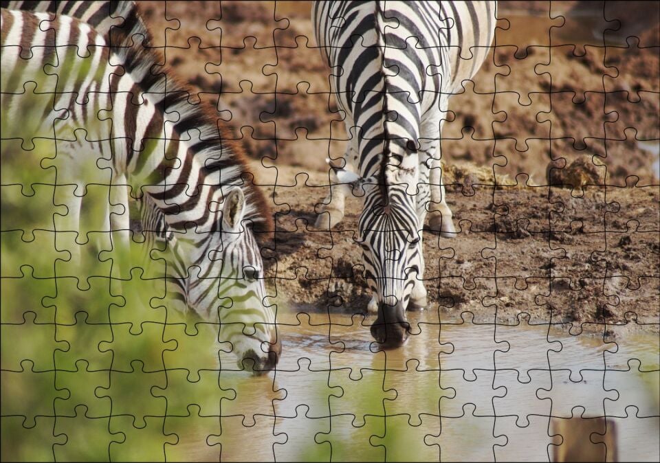 Savanada Su İçen Zebralar Puzzle Yapboz MDF Ahşap