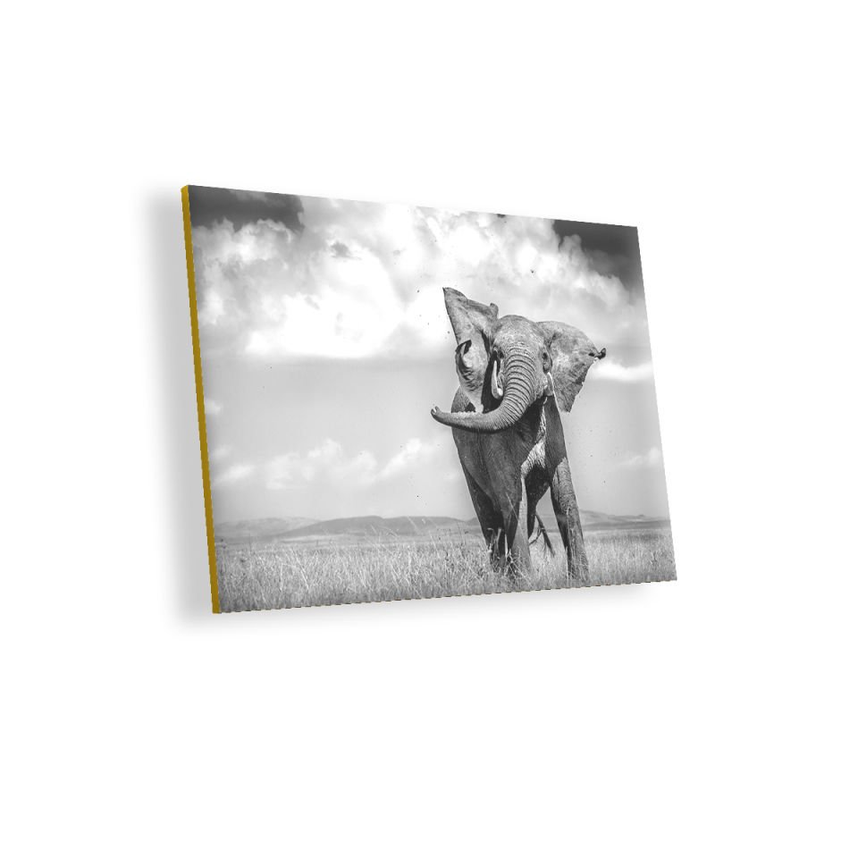 Asya Fili MDF Akşap Duvar Tablo 50x70 cm