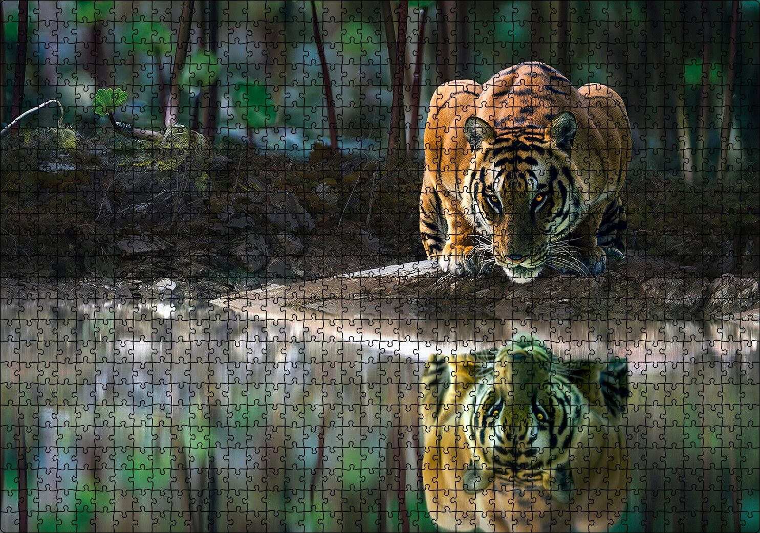 Göldeki Kaplan Yansıması Görseli Puzzle Yapboz MDF Ahşap 1000 Parça 49 cm X 68 cm