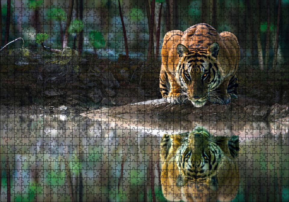 Göldeki Kaplan Yansıması Görseli Puzzle Yapboz MDF Ahşap 1000 Parça 49 cm X 68 cm