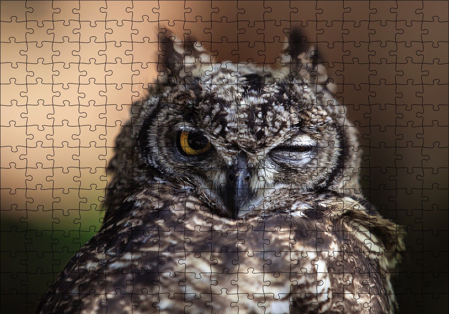 Komik Baykuş Puzzle Yapboz MDF Ahşap 255 Parça 34 cm X 49 cm