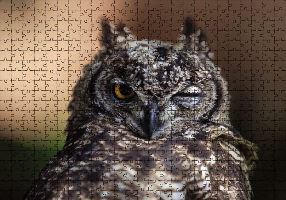Komik Baykuş Puzzle Yapboz MDF Ahşap 500 Parça 49 cm X 68 cm