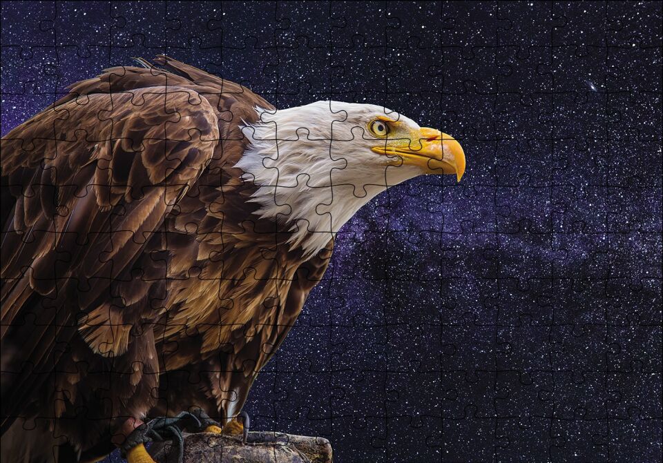 Kel Kartal Puzzle Yapboz MDF Ahşap 120 Parça 24 cm X 34 cm