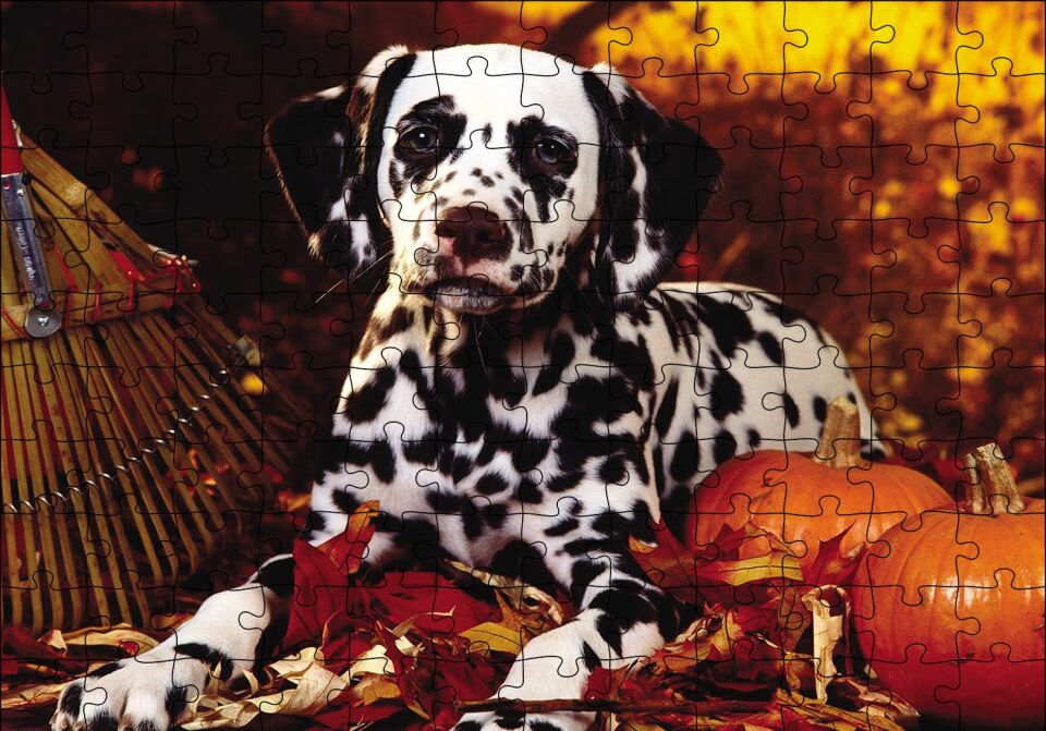 Köpek Cadılar Bayramı Puzzle Yapboz MDF Ahşap 120 Parça 24 cm X 34 cm