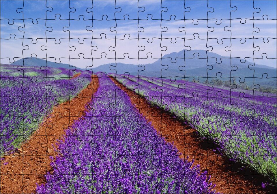 Avustralya Tazmanya Lavanta Tarlaları Puzzle Yapboz MDF Ahşap